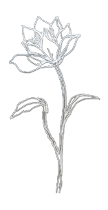 A profile image of Vinusha Srithar