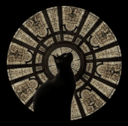 A profile image of The Quiet Archive