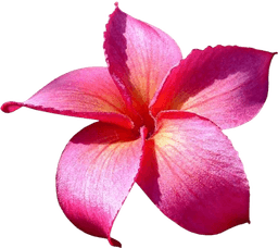 A profile image of Oragnizers