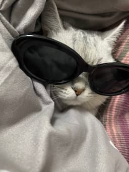 A profile image of 水镜