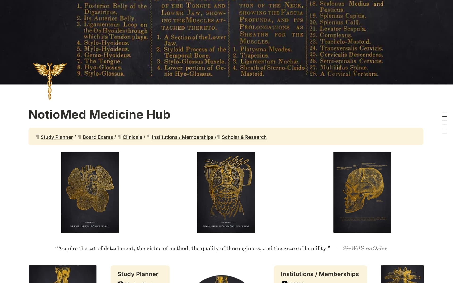 A template preview for NotioMed Medicine Hub