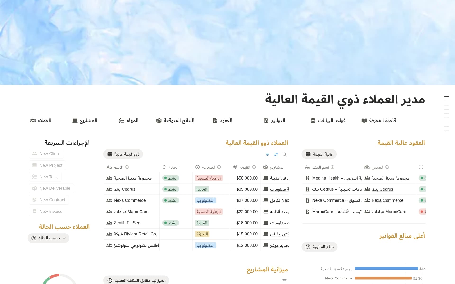 معاينة قالب مدير العملاء ذوي القيمة العالية
