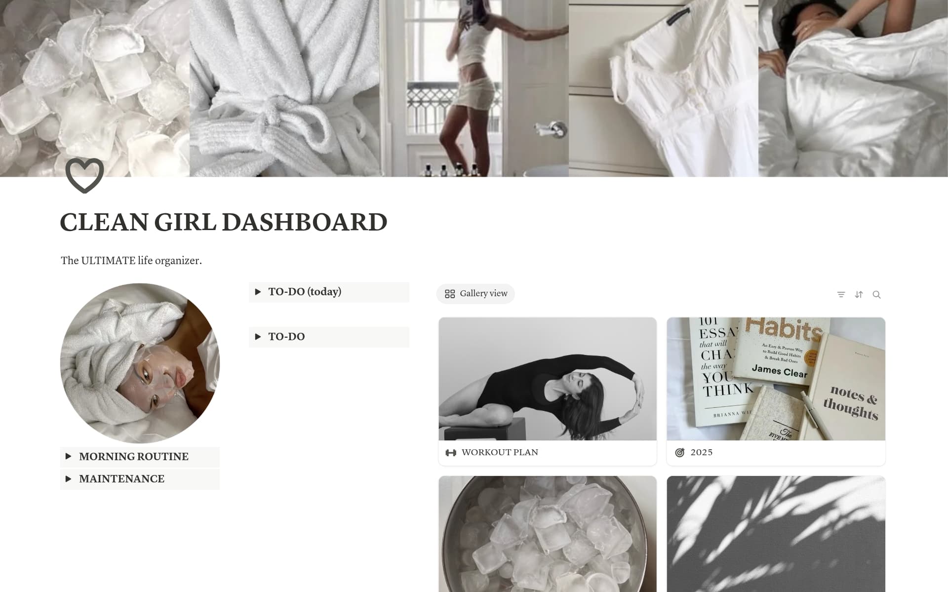 A template preview for CLEAN GIRL DASHBOARD