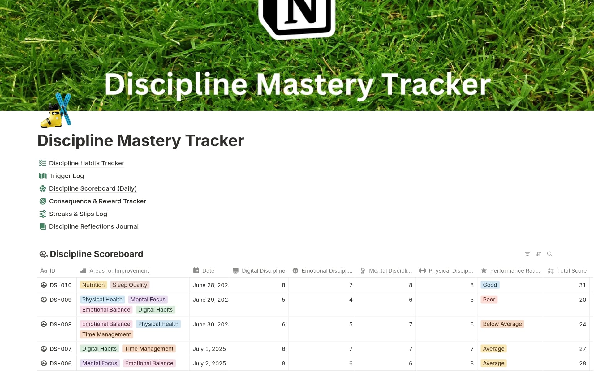 A template preview for Discipline Mastery Tracker