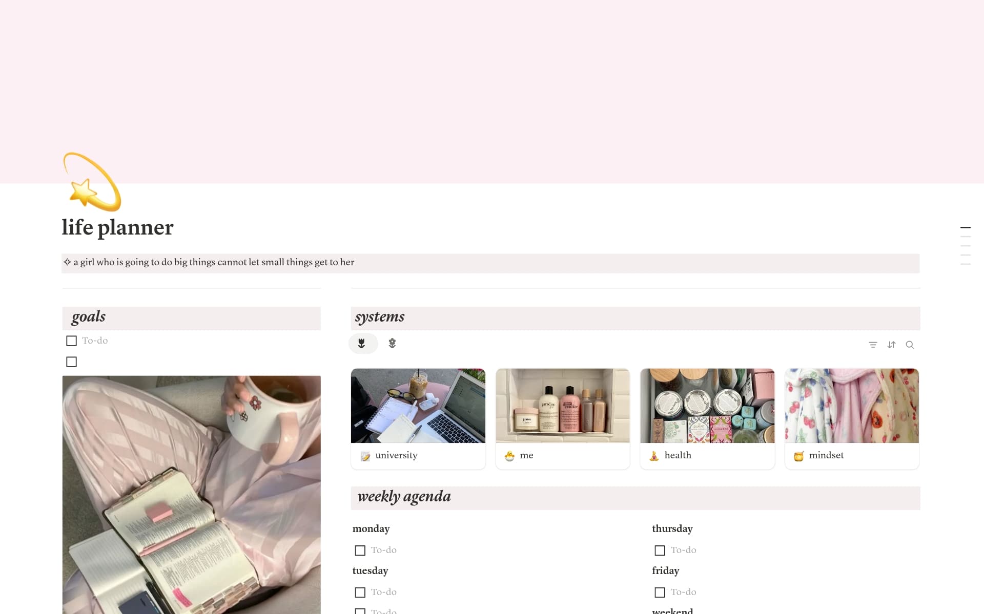 A template preview for life planner