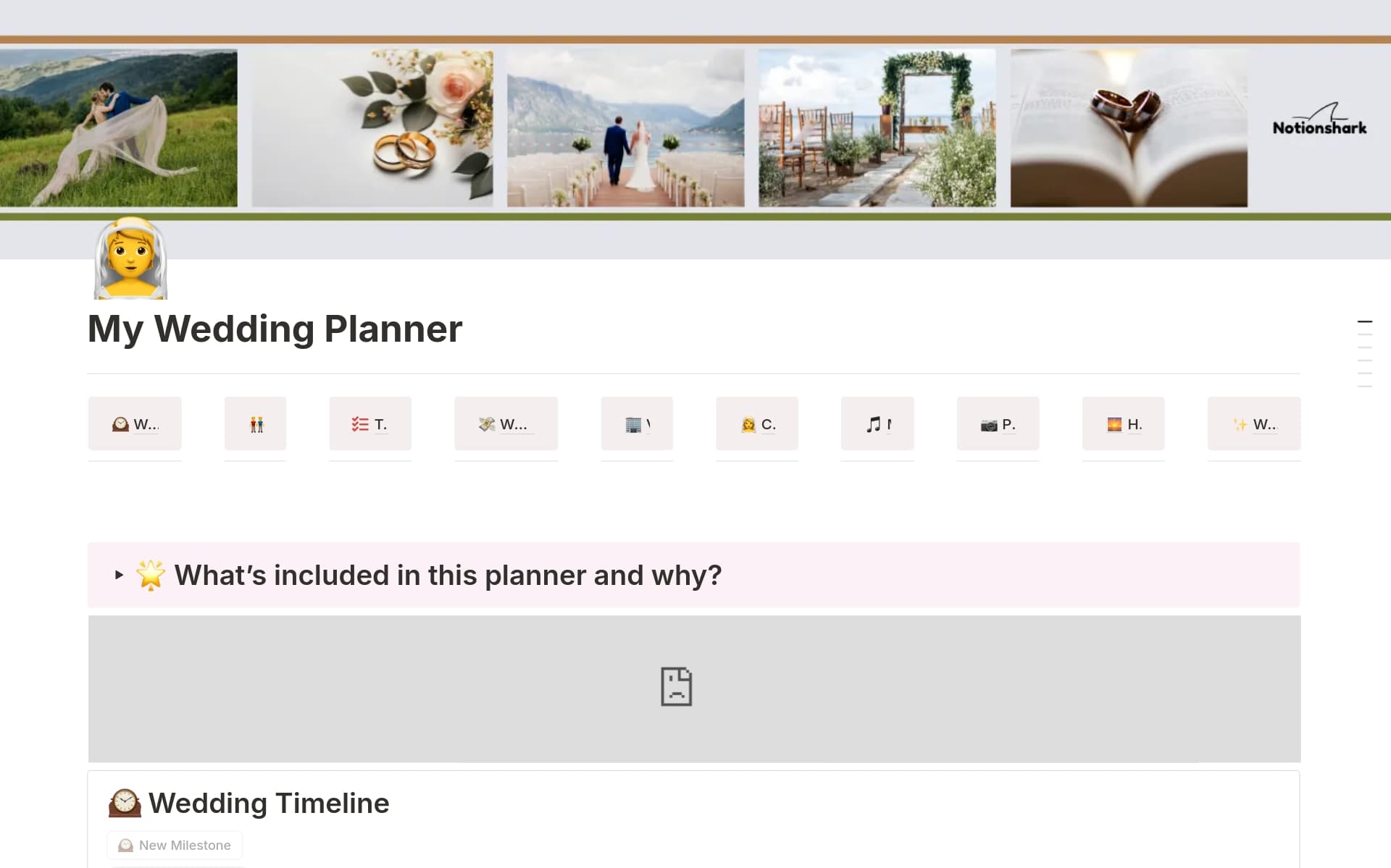 A template preview for All - In - One Wedding Planner