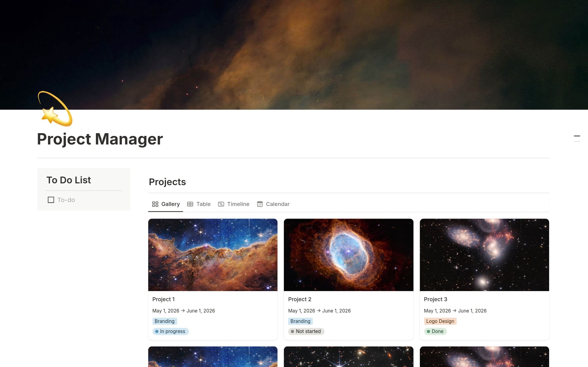A template preview for Project Manager