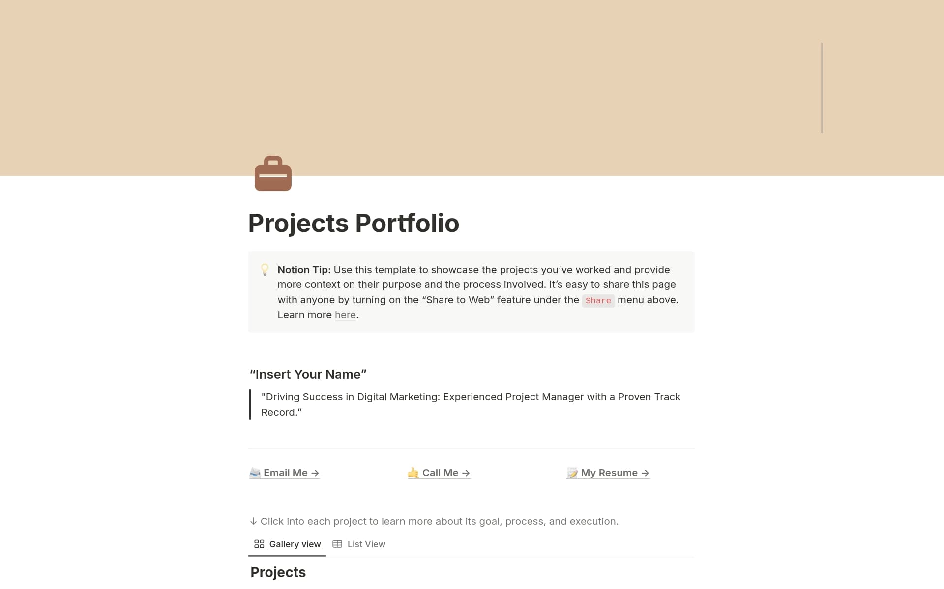A template preview for Projects Portfolio