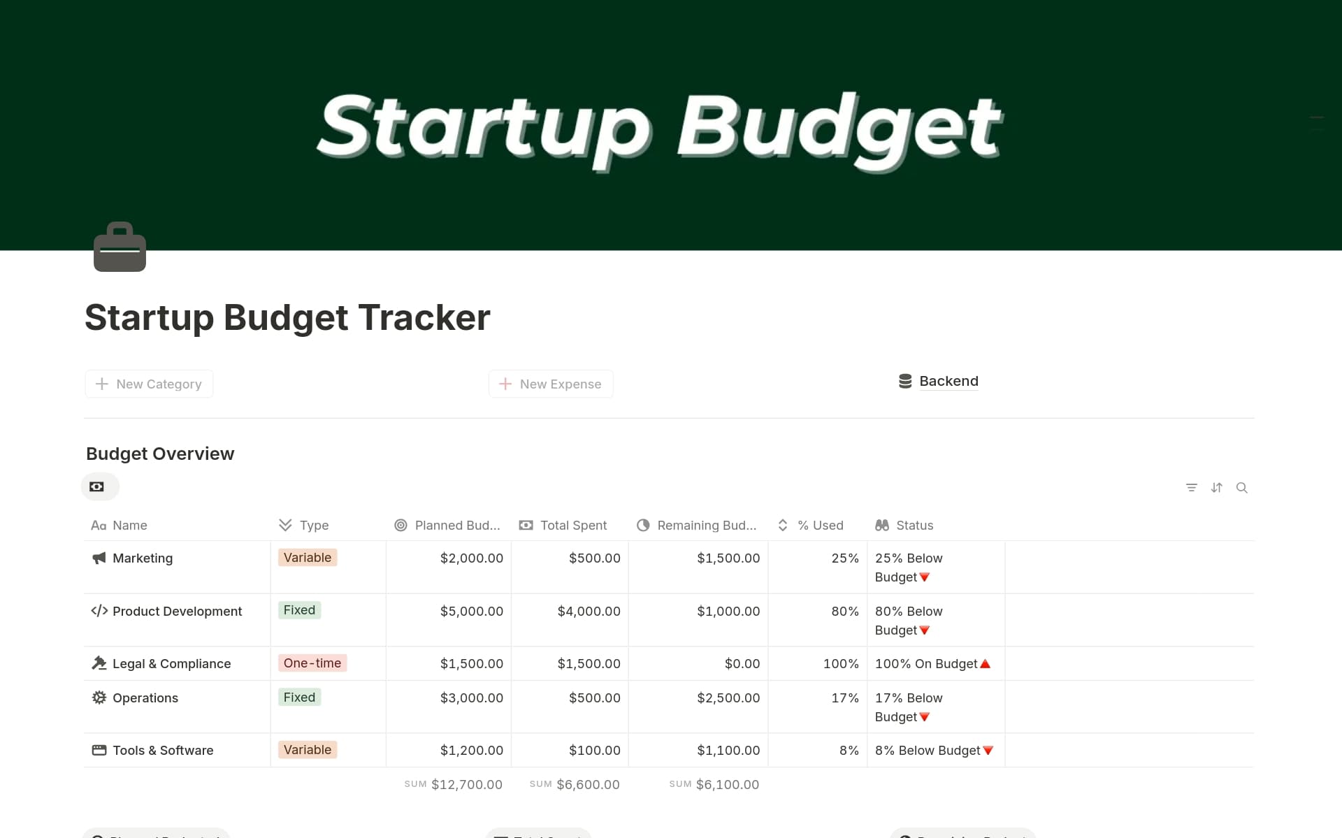 A template preview for Startup Budget Tracker
