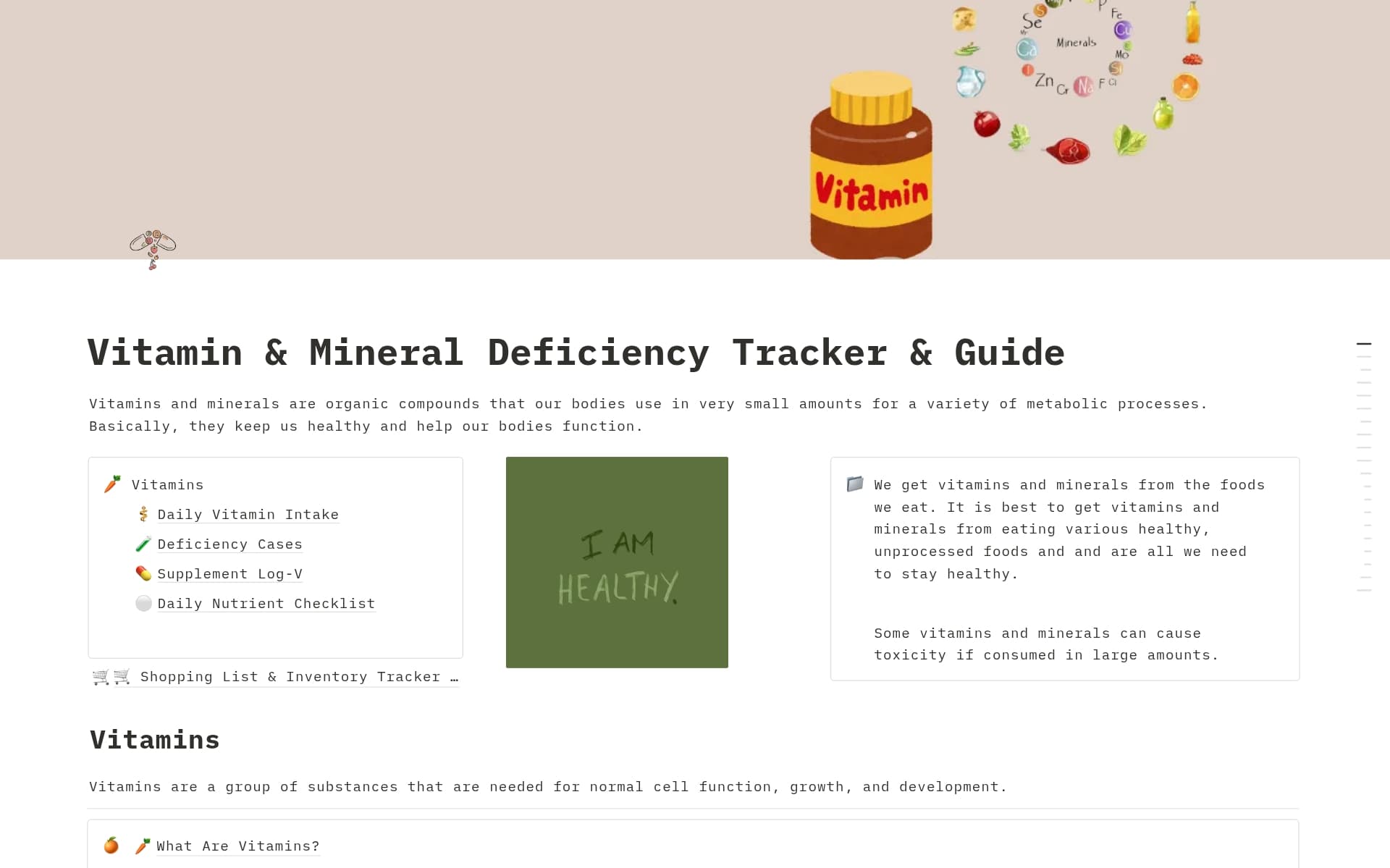 A template preview for Vitamins & Minerals Guide