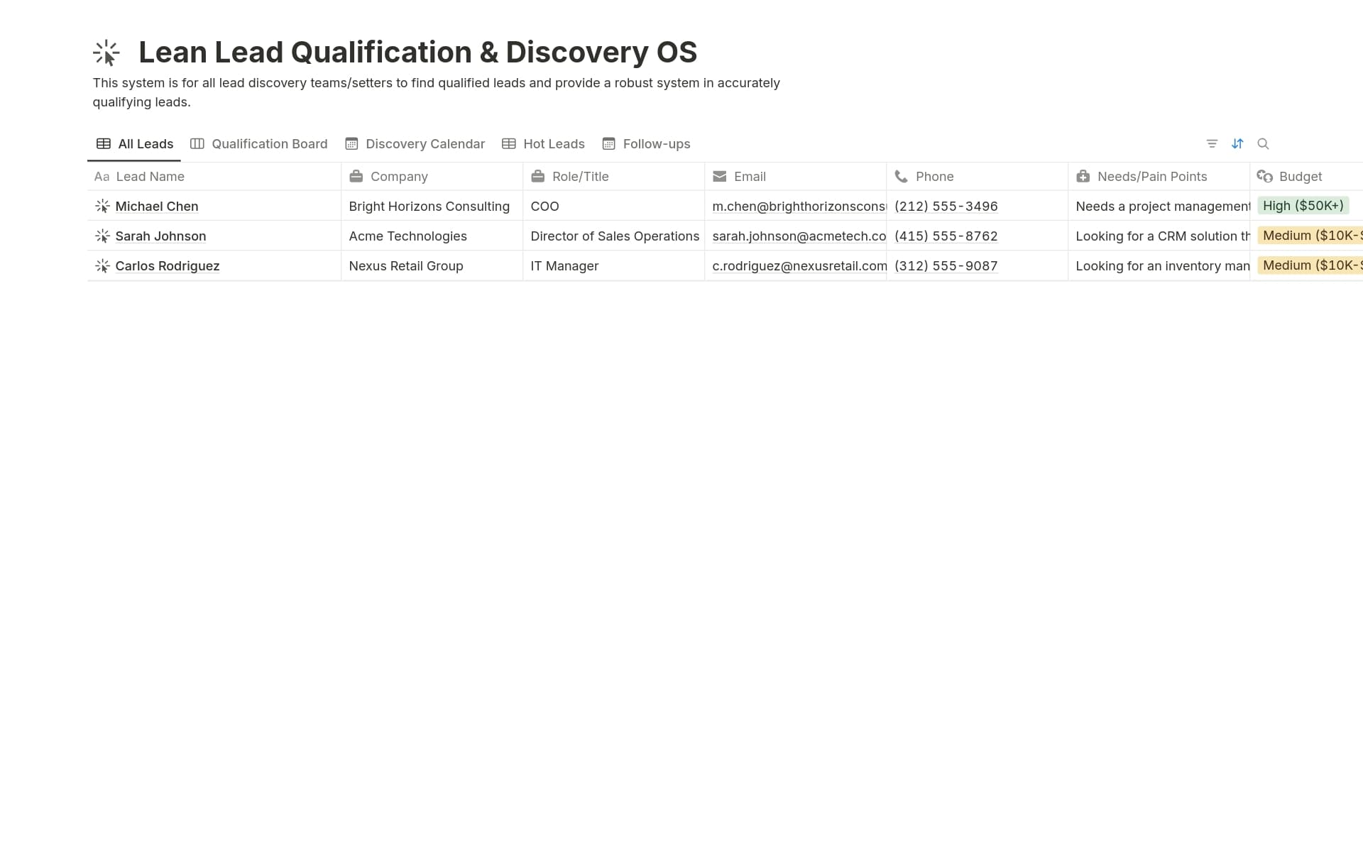 A template preview for Lean Lead Qualification & Discovery OS