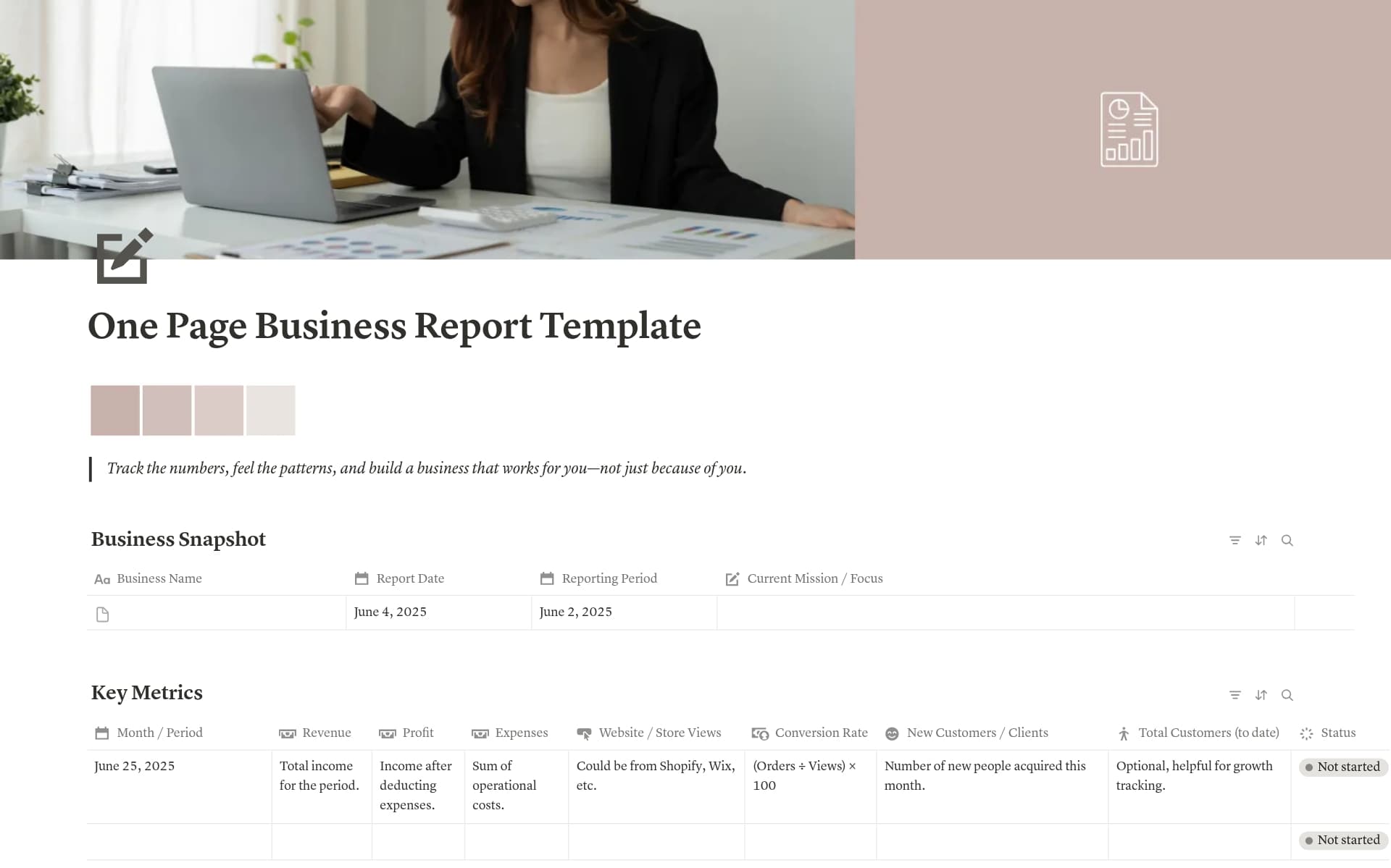 A template preview for One Page Business Report