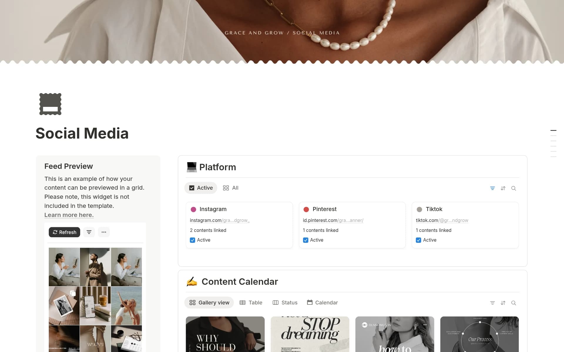 A template preview for Social Media Starter