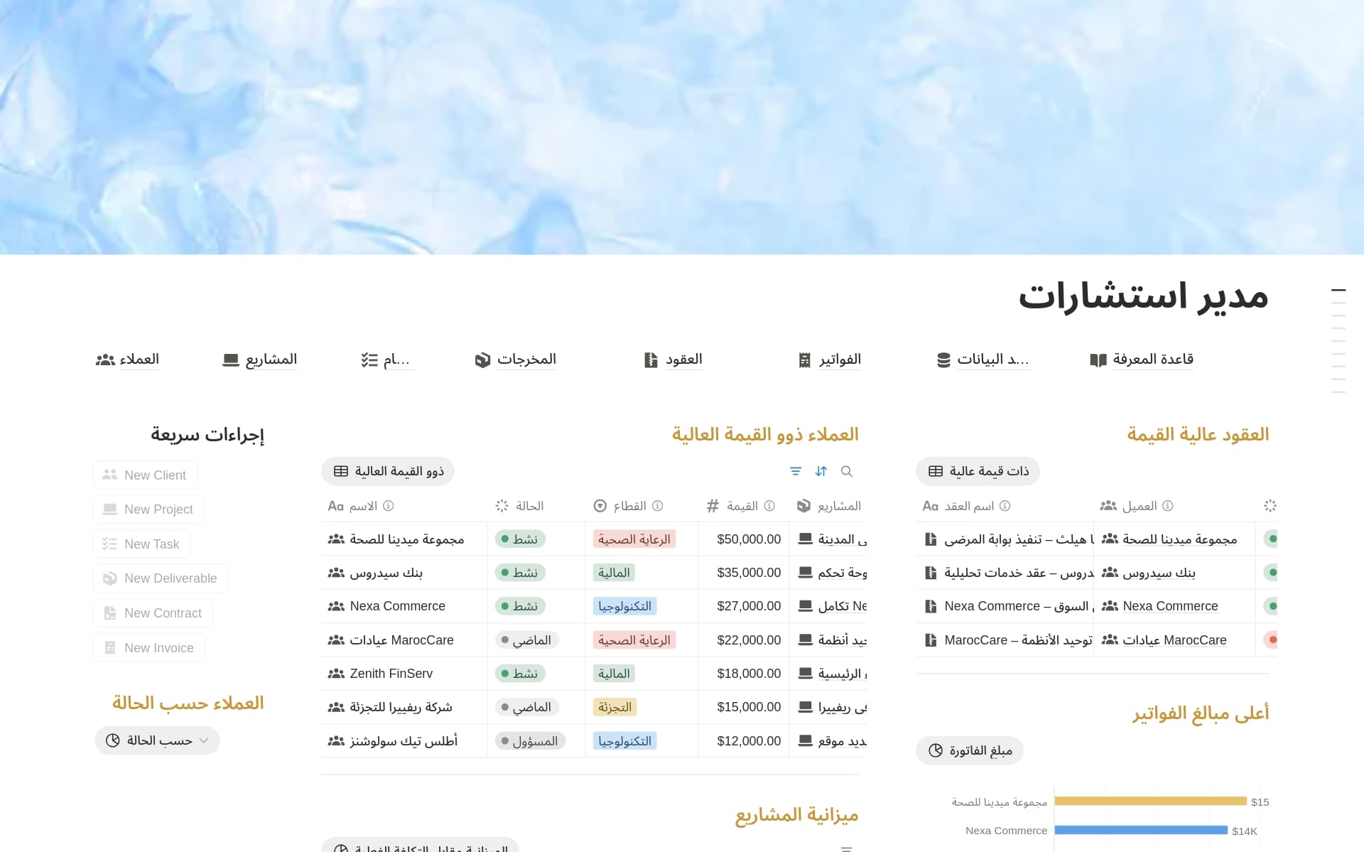 معاينة قالب مدير استشاري