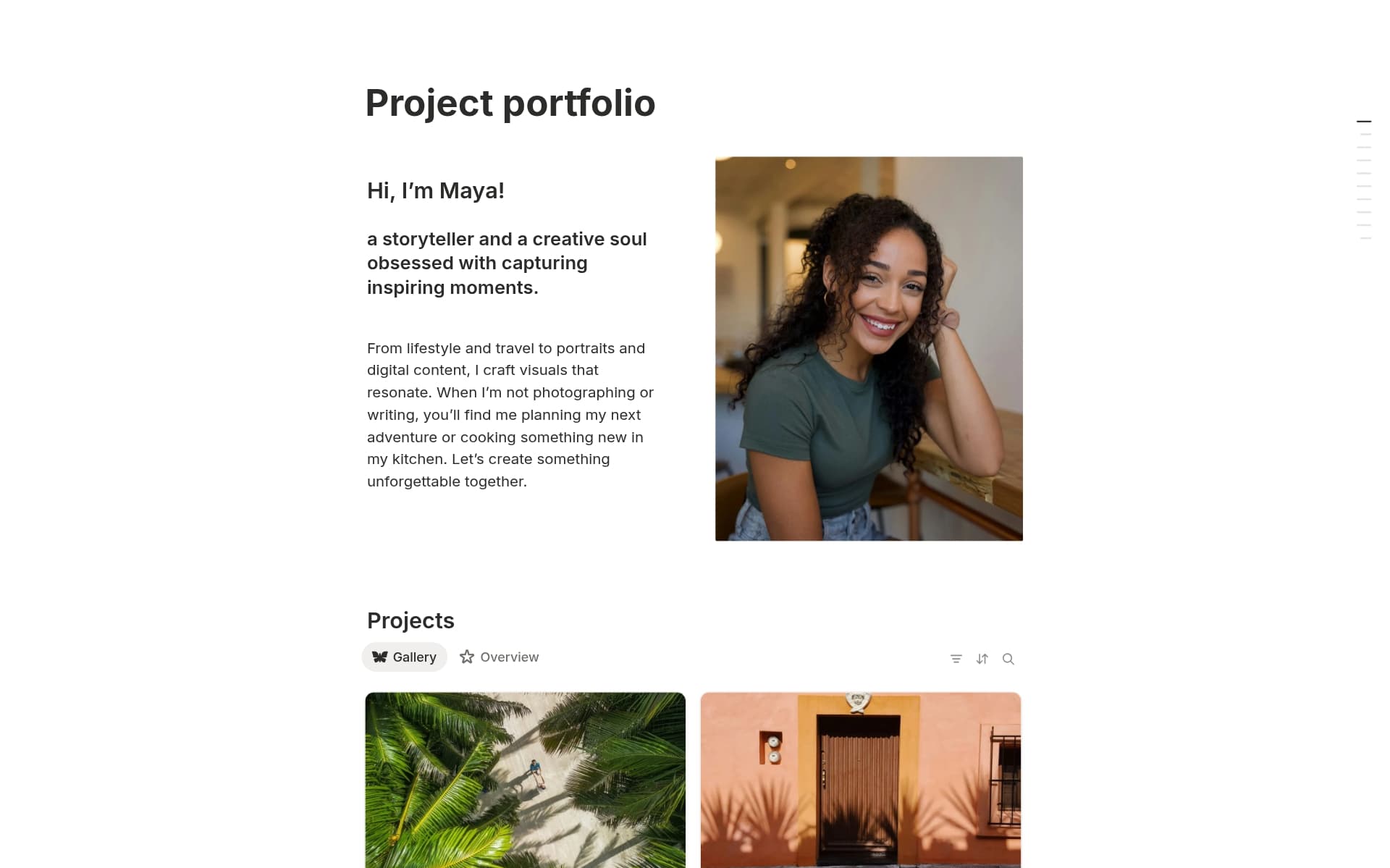 A template preview for Elegant Project Portfolio