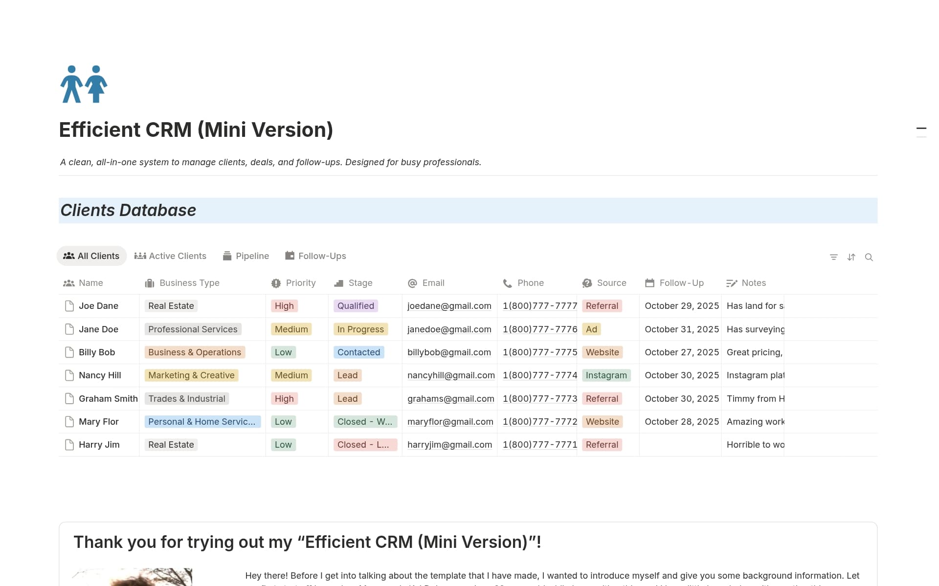 A template preview for Efficient CRM (Mini Version)