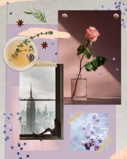 A profile image of Aiysha