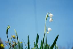 A profile image of aki-toto