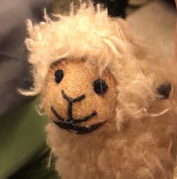 A profile image of Alex