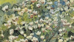 A profile image of alzyest