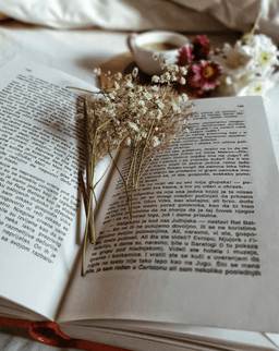 A profile image of Anna Bätz