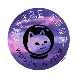 A profile image of Sapere Aude Engineering