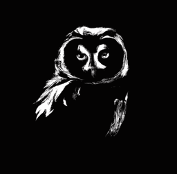 A profile image of BecomeTheMatrix