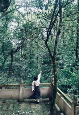 A profile image of 小懒同学