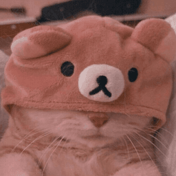 A profile image of Chillyy