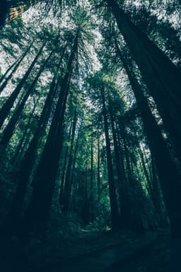 A profile image of Erin Laura