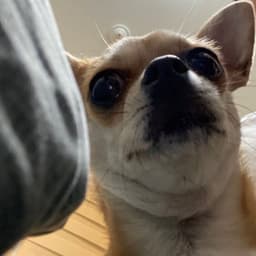 A profile image of 강민준