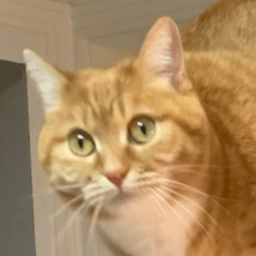 A profile image of Joooyous