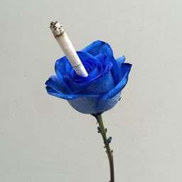 A profile image of JunHyxxn