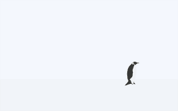 A profile image of penguin