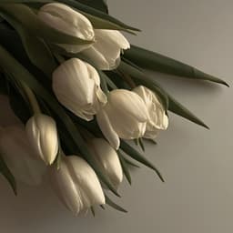 A profile image of KOKi