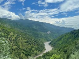 A profile image of Lenses For Eyes