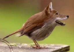 A profile image of lucia0929