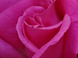 A profile image of Luya's design