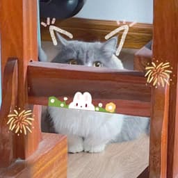 A profile image of Maria.D-爱折腾的茜茜子-