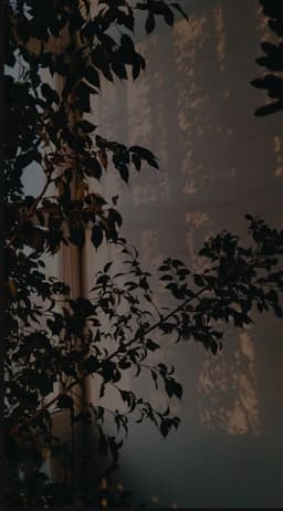 A profile image of NovelArtemis