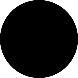 A profile image of Nursultan Orazaly