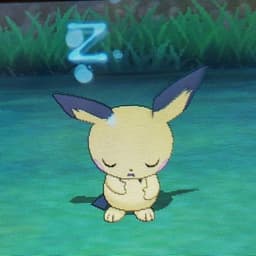 A profile image of ramya