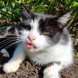 A profile image of marta