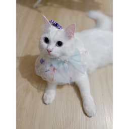 A profile image of Teno Siswono