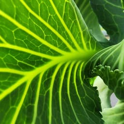 A profile image of Gary Van Essen