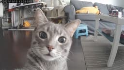 A profile image of zzc0610