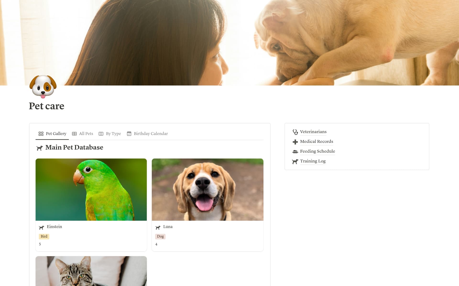 A template preview for Pet care system