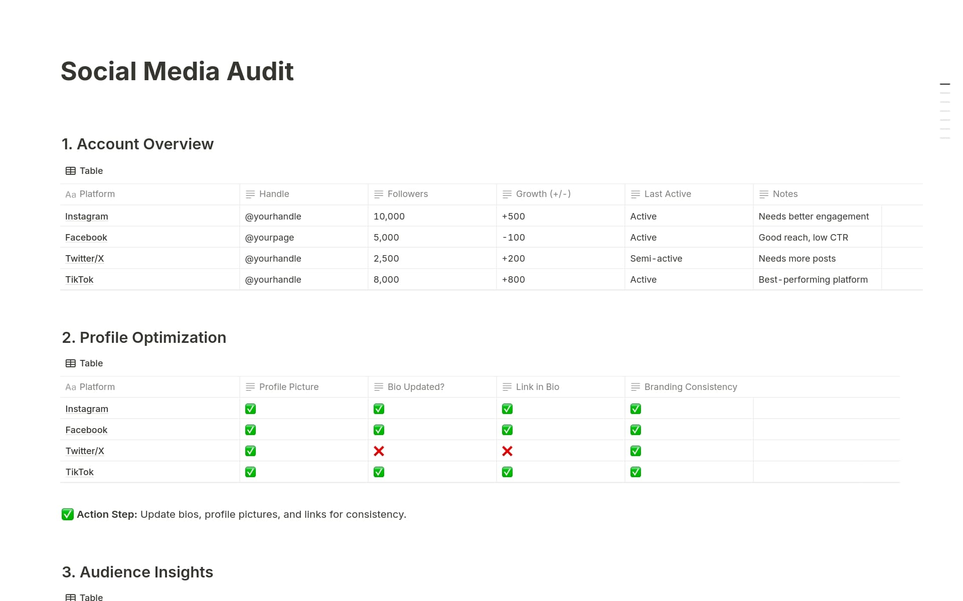 A template preview for Social Media Audit