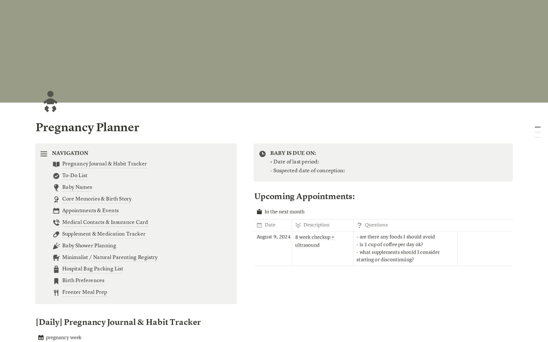 A template preview for Pregnancy Planner & Journal
