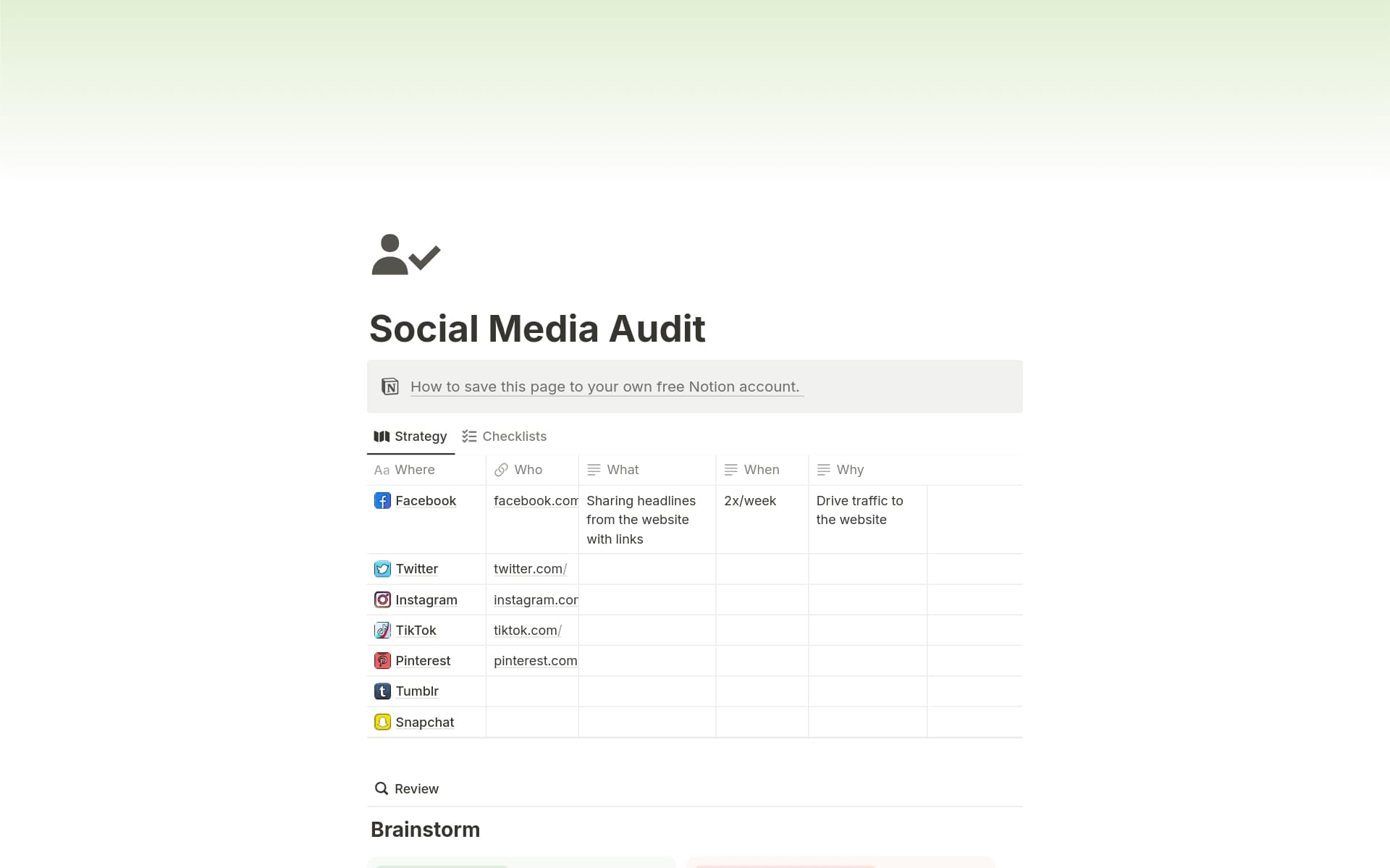 A template preview for Social Media Audit